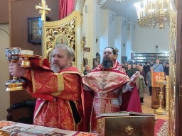 Собор новомучеников